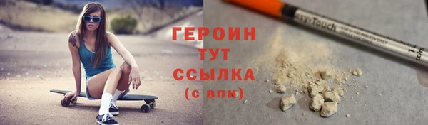 сатива Новодвинск