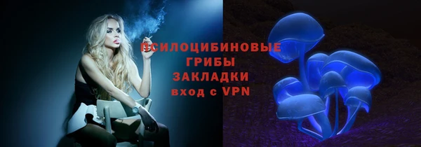 дмт Новокубанск