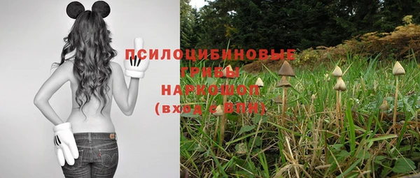 дмт Новокубанск