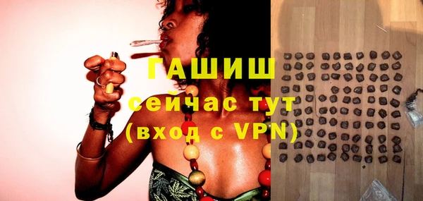 сатива Новодвинск