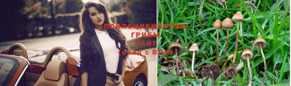 гидропоника Абаза