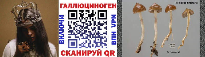 Галлюциногенные грибы мухоморы  где купить наркоту  Харабали 